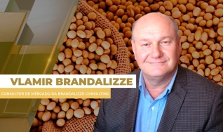 Vlamir Brandalizze - Consultor de Mercado da Brandalizze Consulting