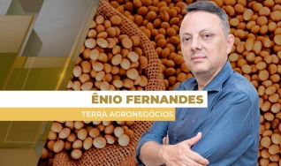 Ênio Fernandes - Consultor em Agronegócio da Terra Agronegócios