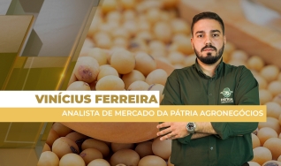 Vinícius Ferreira - Analista de Mercado da Pátria Agronegócios