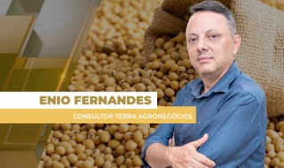 Enio Fernandes - Consultor Terra Agronegócios