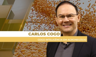 Carlos Cogo - Cogo Inteligência em Agronegócio