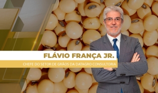 Flávio França Jr. - Chefe do Setor de Grãos da Datagro Consultoria
