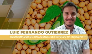 Luiz Fernando Gutierrez - Coordenador de Inteligência de Mercado na Hedgepoint