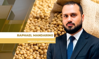 Raphael Mandarino - Diretor da AgResource Brasil