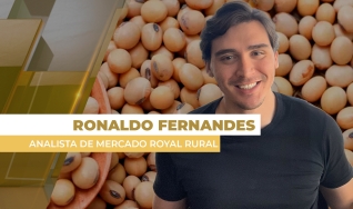 Ronaldo Fernandes - Analista de Mercado Royal Rural