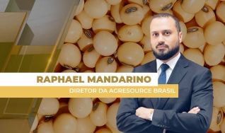 Raphael Mandarino - Diretor da AgResource Brasil