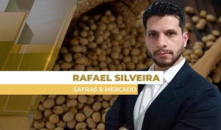 Rafael Silveira - Analista de Soja na Safras & Mercado