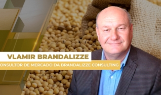 Vlamir Brandalizze - Consultor de Mercado da Brandalizze Consulting