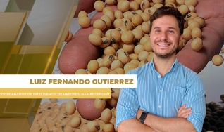Luiz Fernando Gutierrez - Coordenador de Inteligência de Mercado na Hedgepoint