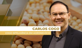 Carlos Cogo - Cogo Inteligência em Agronegócio