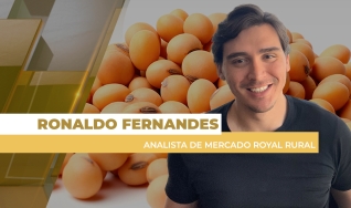 Ronaldo Fernandes - Analista de Mercado Royal Rural