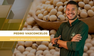 Pedro Vasconcelos - Analista de Mercado da Pátria Agronegócios