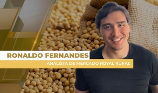 Ronaldo Fernandes - Analista de Mercado Royal Rural