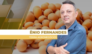 Ênio Fernandes - Consultor em Agronegócio da Terra Agronegócios