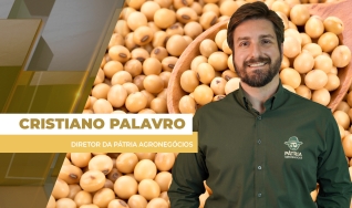 Cristiano Palavro - Diretor da Pátria Agronegócios
