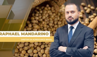 Raphael Mandarino - Diretor da AgResource Brasil