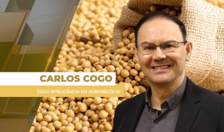 Carlos Cogo - Cogo Inteligência em Agronegócio