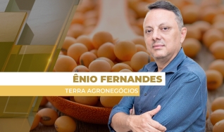 Ênio Fernandes - Consultor em Agronegócio da Terra Agronegócios
