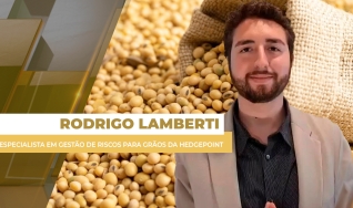 Rodrigo Lamberti - Especialista em Gestão de Riscos para Grãos da Hedgepoint