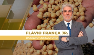 Flávio França Jr. - Chefe do Setor de Grãos da Datagro Consultoria
