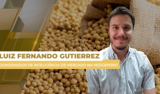 Luiz Fernando Gutierrez - Coordenador de Inteligência de Mercado na Hedgepoint