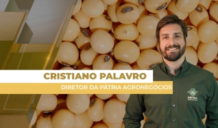 Cristiano Palavro - Diretor da Pátria Agronegócios