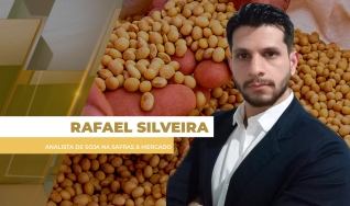 Rafael Silveira - Analista de Soja na Safras & Mercado