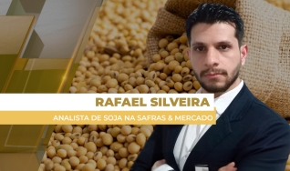 Rafael Silveira - Analista de Soja na Safras & Mercado