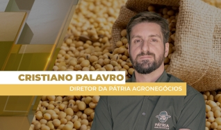 Cristiano Palavro - Diretor da Pátria Agronegócios