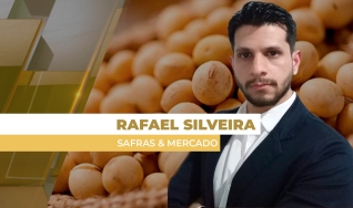 Rafael Silveira - Analista de Soja na Safras & Mercado