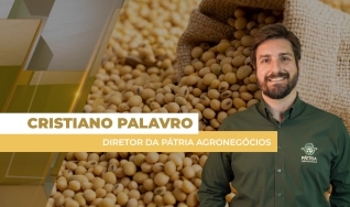 Cristiano Palavro - Diretor da Pátria Agronegócios