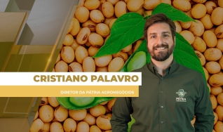 Cristiano Palavro - Diretor da Pátria Agronegócios