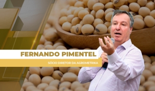 Fernando Pimentel - Sócio Diretor da Agrometrika