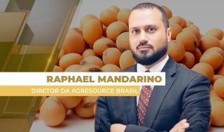 Raphael Mandarino - Diretor da AgResource Brasil