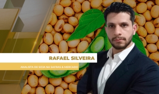Rafael Silveira - Analista de Soja na Safras & Mercado