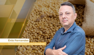 Ênio Fernandes - Consultor em Agronegócio da Terra Agronegócios