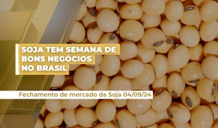 Vlamir Brandalizze - Consultor de Mercado da Brandalizze Consulting