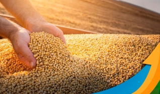 Ênio Fernandes - Consultor em Agronegócio da Terra Agronegócios