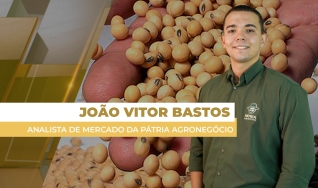 João Vitor Bastos - Analista de Mercado da Pátria Agronegócio