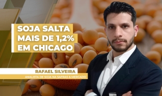 Rafael Silveira - Analista de Soja na Safras & Mercado