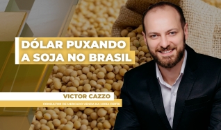 Victor Cazzo - Consultor de Mercado Venda na Hora Certa