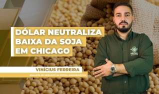 Vinícius Ferreira - Analista de Mercado da Pátria Agronegócios