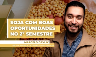Marcelo Gavlik - Sócio e Assessor da Getreide Investimentos