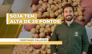 Cristiano Palavro - Diretor da Pátria Agronegócios
