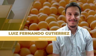Luiz Fernando Gutierrez - Coordenador de Inteligência de Mercado na Hedgepoint