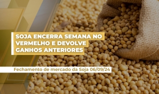 Carla Mendes - Jornalista