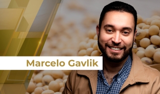 Marcelo Gavlik - Sócio e Assessor da Getreide Investimentos