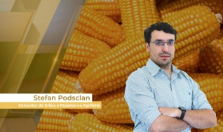 Stefan Podsclan - Consultor de Grãos e Projetos na Agrifatto