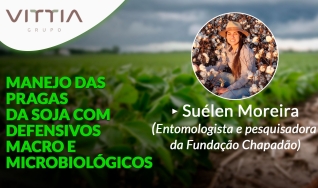 Confira a palestra de Suélen Moreira