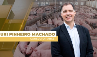 Iuri Pinheiro Machado - Consultor ABCS